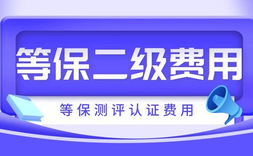 北京中联信科信息安全等级保护测评认证办理二级等保